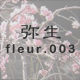 퐶 fleur.003