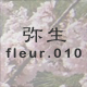 퐶 fleur.010