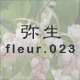퐶 fleur.023
