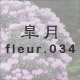 H fleur.034
