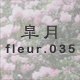 H fleur.035