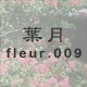 t fleur.009