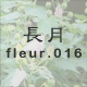  fleur.016