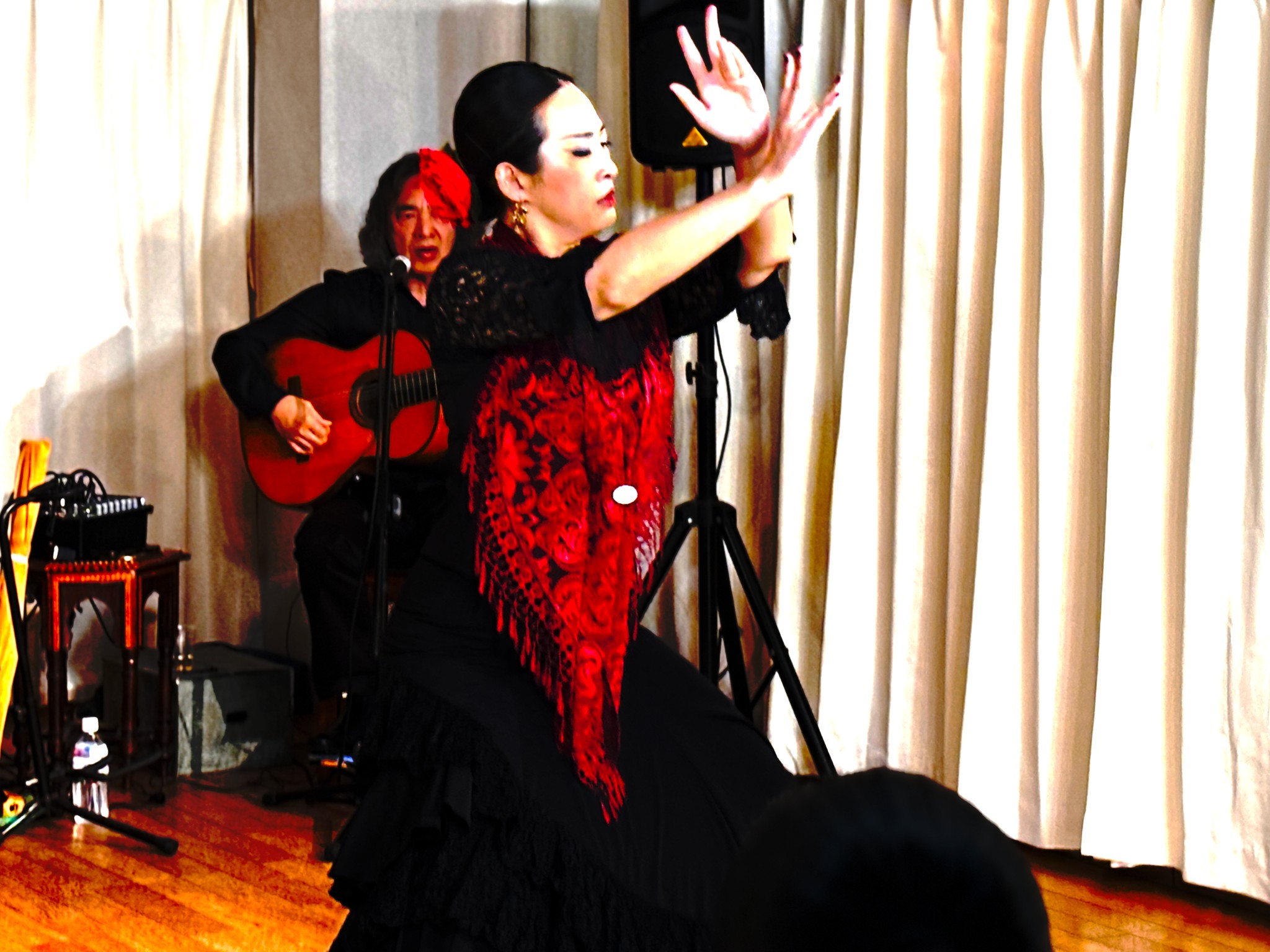 「El pimpollo vol.11」