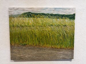 マメイケダさんの個展