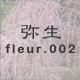 弥生 fleur.002