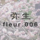 弥生 fleur.006