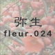 弥生 fleur.024