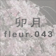 卯月 fleur.043
